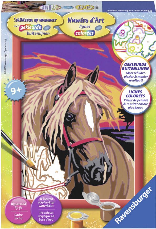 Ravensburger Schilderen Op Nummer Droompaard