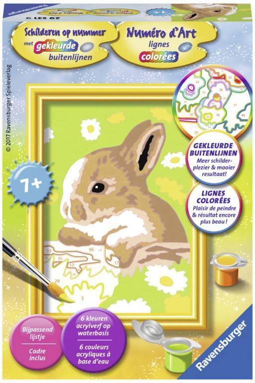 Ravensburger Schilderen Op Nummer Konijn Vlekkie Set