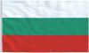 VidaXL Vlag Bulgarije 90x150 Cm online kopen