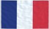 VidaXL Vlag Frankrijk 90x150 Cm online kopen