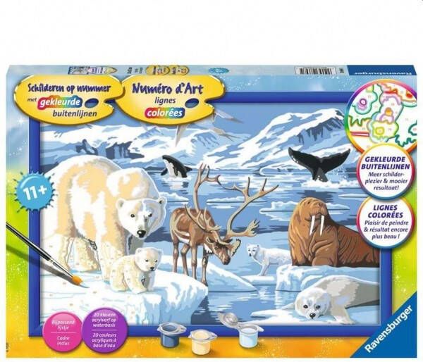 Ravensburger Schilderen op Nummer op het IJs