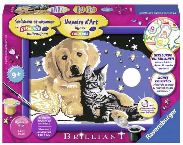 Ravensburger Schilderen Op Nummer Schitterende Sterrenhemel