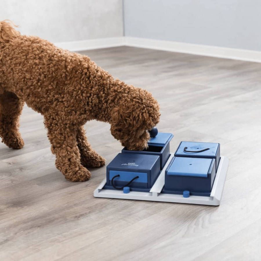Trixie Dog Activity Poker Box 1 Strategiespel Hondenspeelgoed 31x31 cm Donkerblauw Wit Level 2