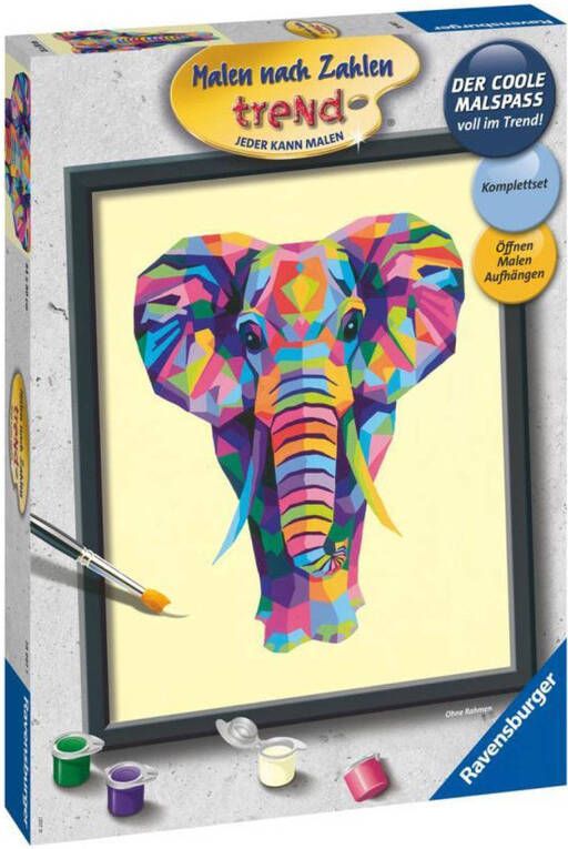 Ravensburger Schilderen Op Nummer Bonte Olifant