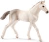 Schleich Holstein Veulen Speelfiguur Horse Club 13860 online kopen